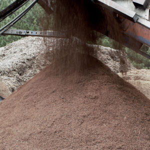 Aged Untreated Sawdust  - Image 4