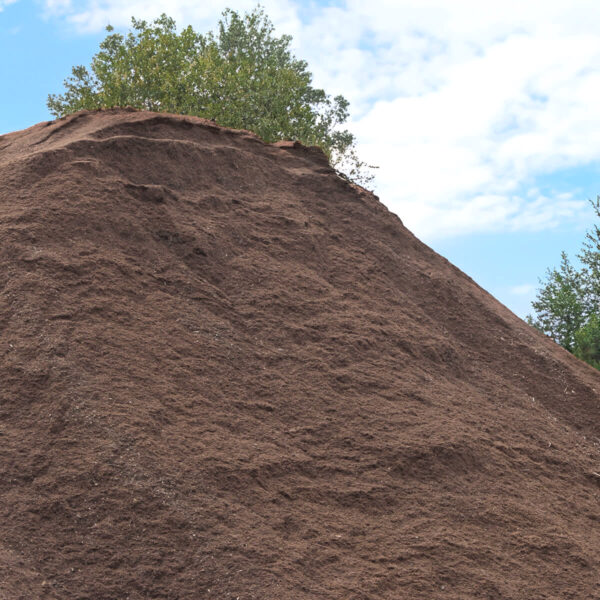 Aged Untreated Sawdust 