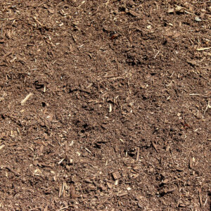 Compost Base  - Image 2