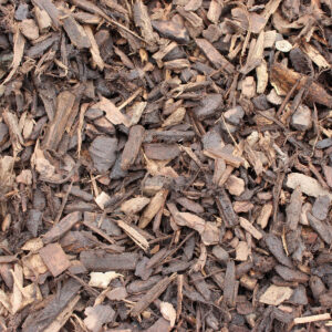 Decorative Bark 15-35mm - Image 2